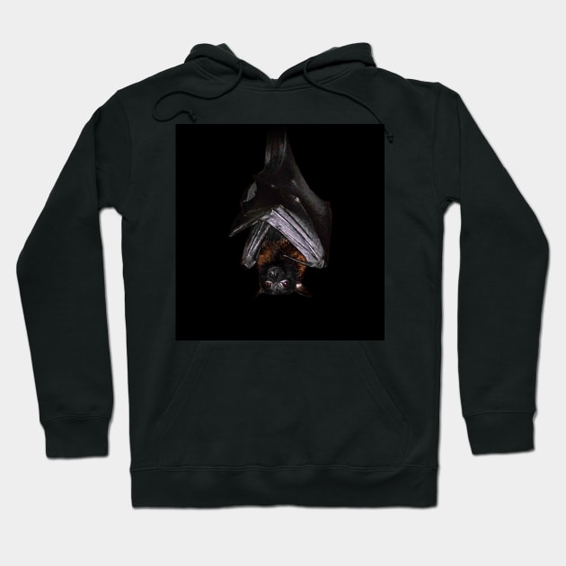 Lyle's flying fox Hoodie by Guardi